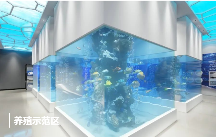 煙臺(tái)展示公司